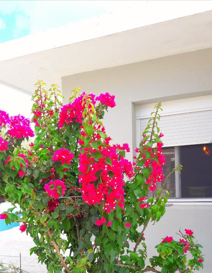 Casa Katina , Villa In Lagana, Agrilia Area Лаганас Екстериор снимка