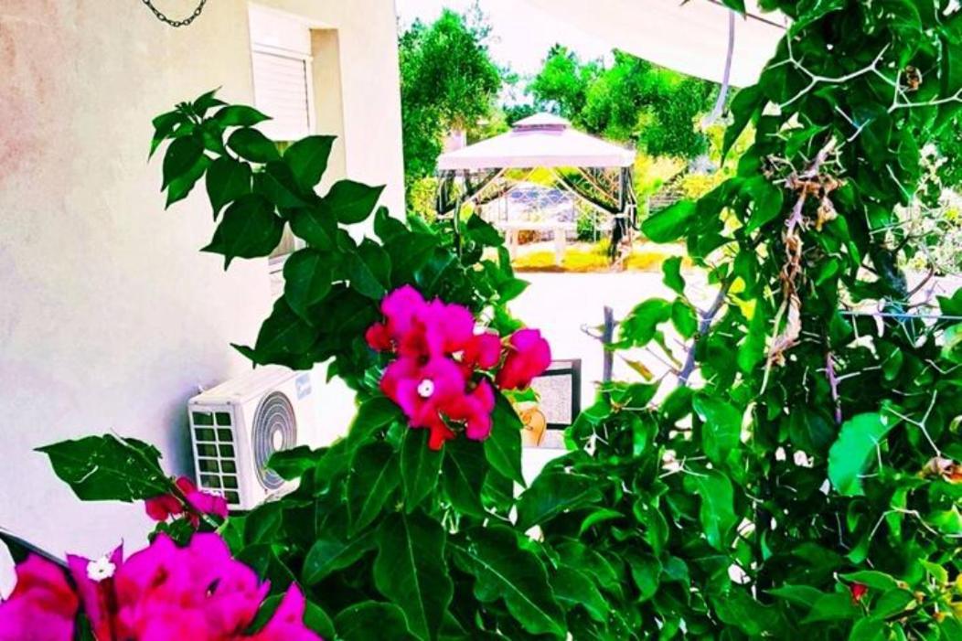 Casa Katina , Villa In Lagana, Agrilia Area Лаганас Екстериор снимка